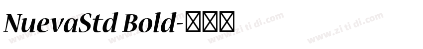 NuevaStd Bold字体转换
